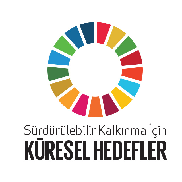 Küresel Hedefler Temel Logo