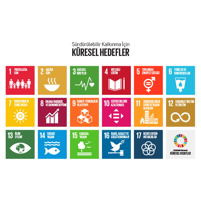 Küresel Hedefler Temel Logo